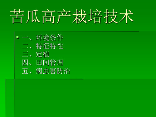 苦瓜高产栽培技术