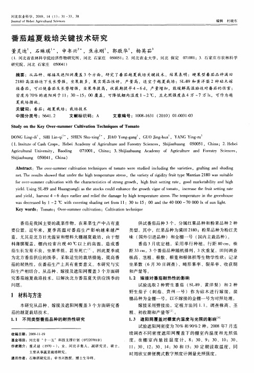 番茄越夏栽培关键技术研究