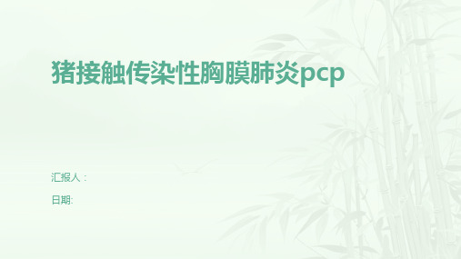 猪接触传染性胸膜肺炎pcp