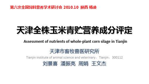 天津全株玉米青贮营养成分评定
