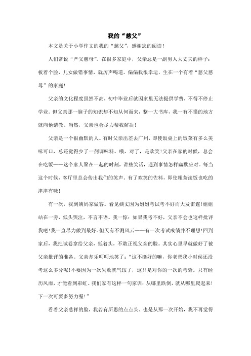 我的“慈父”_小学作文