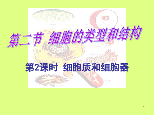 定细胞质和细胞器PPT课件
