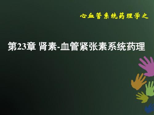 肾素-血管紧张素系统药理课件