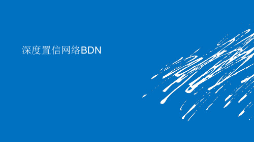 深度置信网络BDN