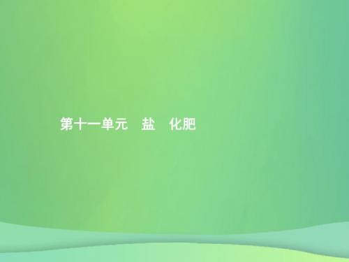 甘肃地区2019年中考化学总复习第十一单元盐化肥课件