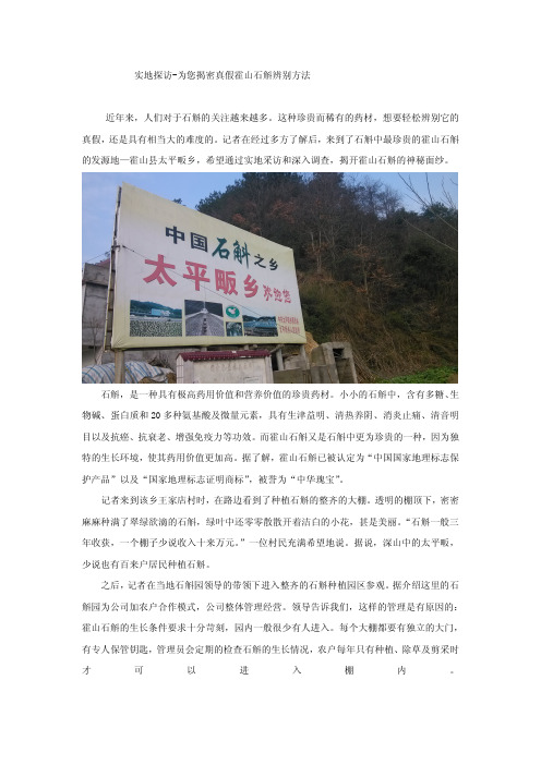 霍山石斛的功效及真假分辨方法