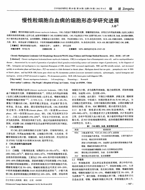 慢性粒细胞白血病的细胞形态学研究进展