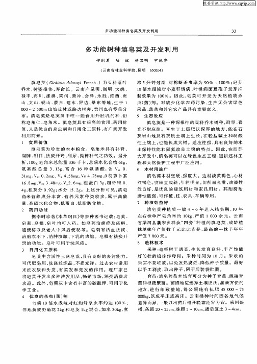 多功能树种滇皂荚及开发利用