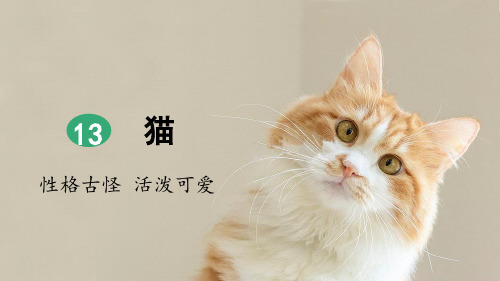统编版四年级语文下册第13课《猫》精品课件