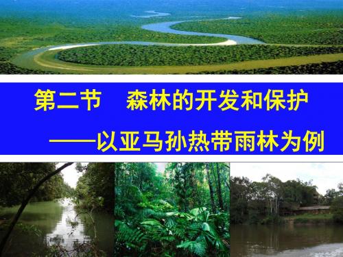 2.2森林的开发和保护——以亚马孙热带雨林为例