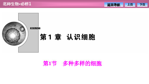 2019-2020学年北师大版高中生物必修1课件：第1章  第1节 多种多样的细胞