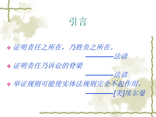 证明责任及其分配详解