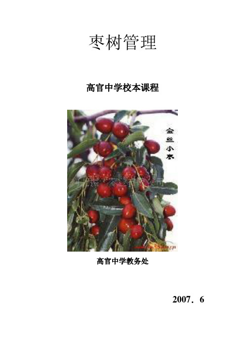 枣树管理