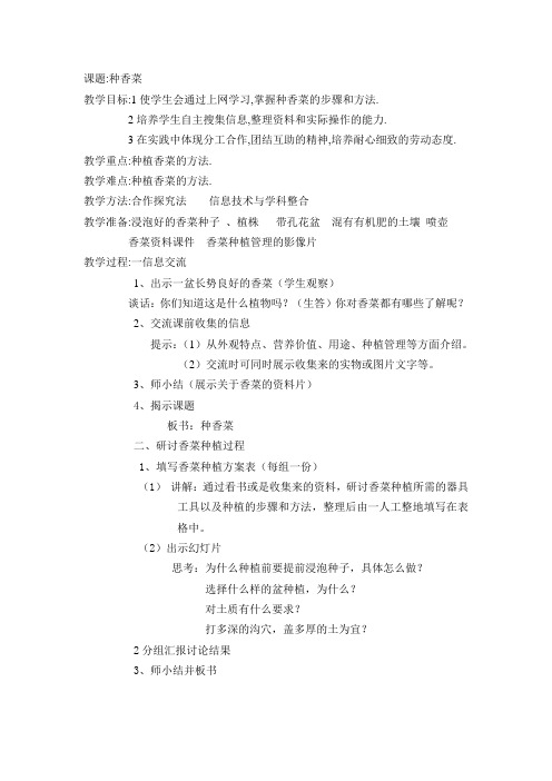 小学综合实践教学设计：种香菜[1].doc
