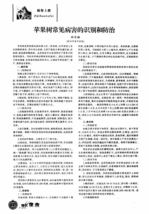 苹果树常见病害的识别和防治