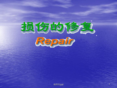 病理学组织的修复PPT课件