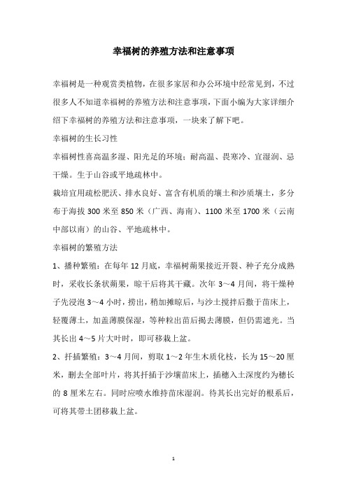 幸福树的养殖方法和注意事项