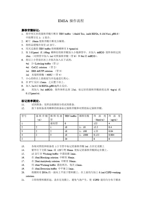 EMSA 操作手册