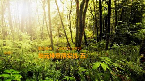 2019届高考政治一轮复习第五单元公民的政治生活单元排