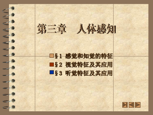 3—人体感知觉G