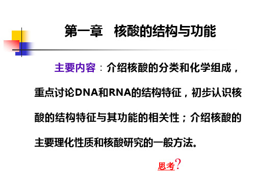 核酸的结构、功能,生物学作用
