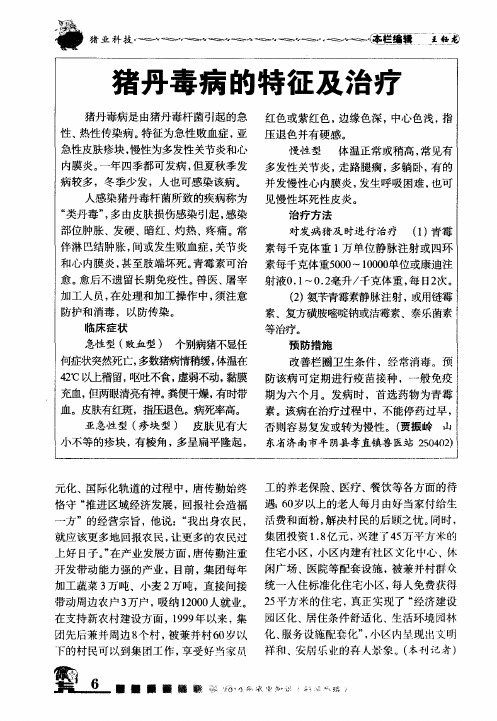 猪丹毒病的特征及治疗