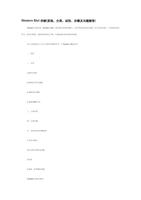 Western Blot详解(原理、分类、试剂、步骤及问题解答)