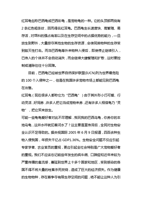 巴西龟