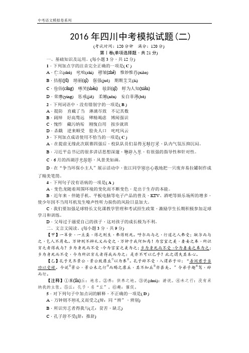 2016年四川中考语文模拟试卷及答案 (2)