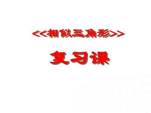 【最新】苏科版九年级数学下册第六章《相似三角形复习》公开课课件