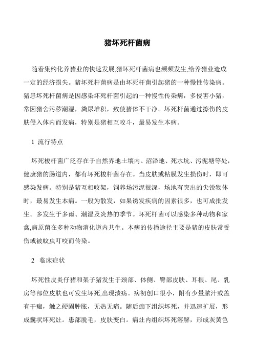 猪坏死杆菌病