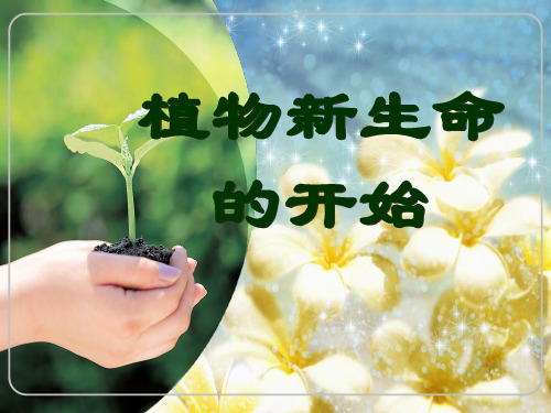 人教版三年级科学下《一 植物的生长变化  植物新生命的开始》PPT课件_3