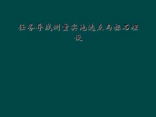 任务导线测量实地选点与标石埋设
