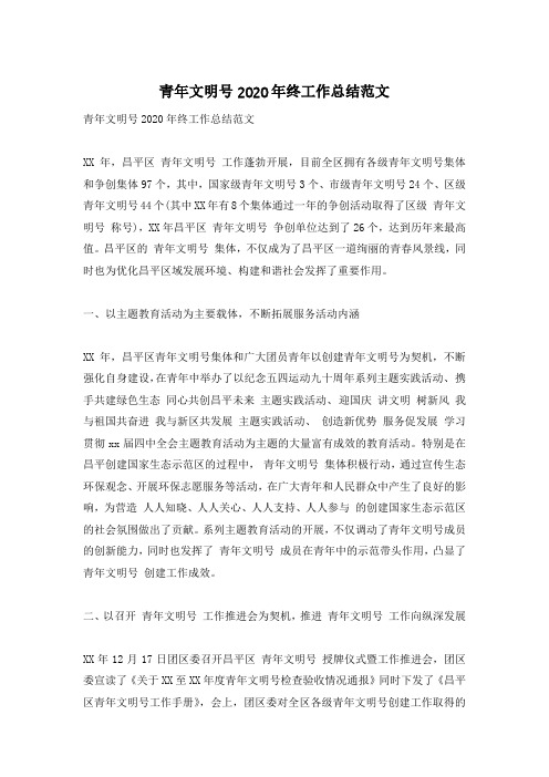 青年文明号2020年终工作总结范文