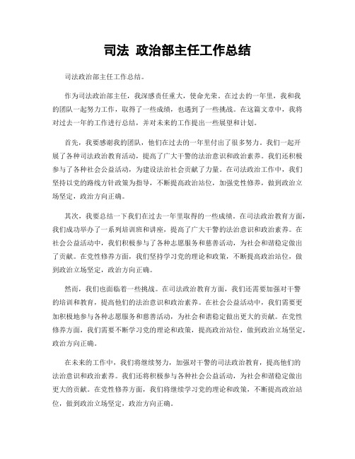 司法 政治部主任工作总结