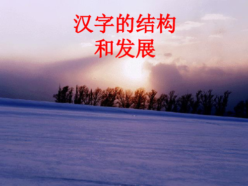 古代汉语课件(汉字的结构和发展)