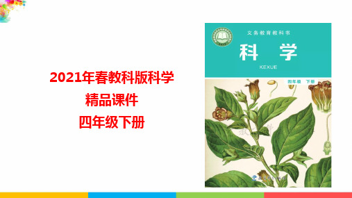 最新教科版科学四年级下册《岩石与土壤的故事》教学课件