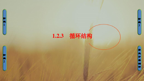 2018学年高中数学必修3课件：1.2.3 循环结构 精品