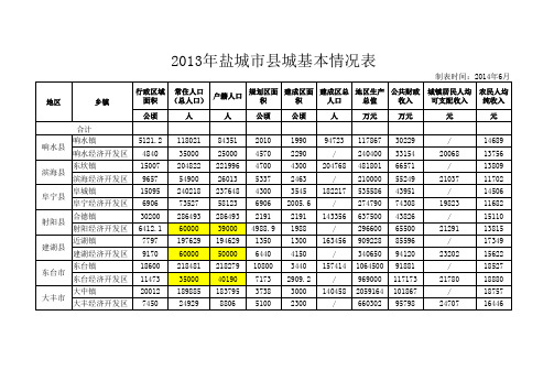 2013年大市区、县城基本情况表6