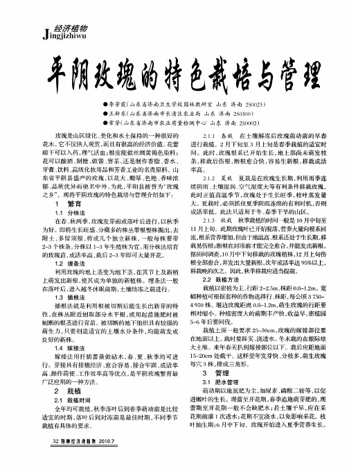 平阴玫瑰的特色栽培与管理