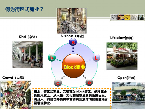 2012情景街区商业模式典型案例研究上海大宁国际广场