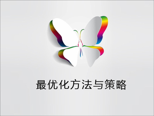 最优化方法与策略 思维策略
