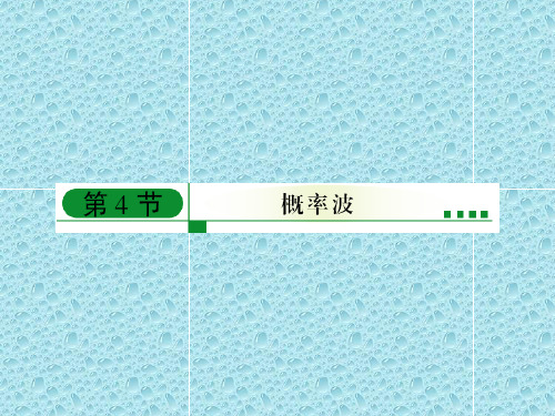 最新人教版高中物理选修课件 17-4、5概率波