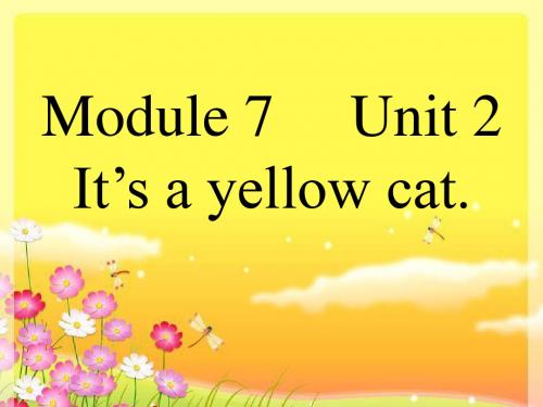 一年级英语上册Module7Unit2It’sayellowcat课件1外研
