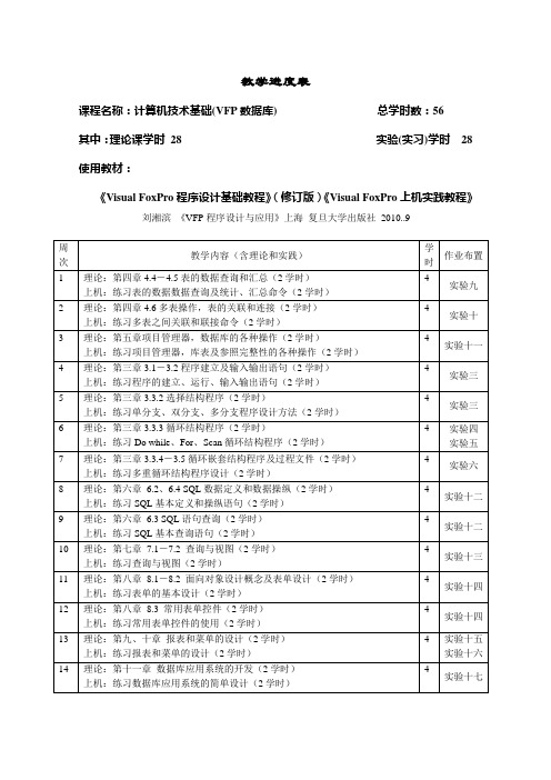 VFP进度表(最新)