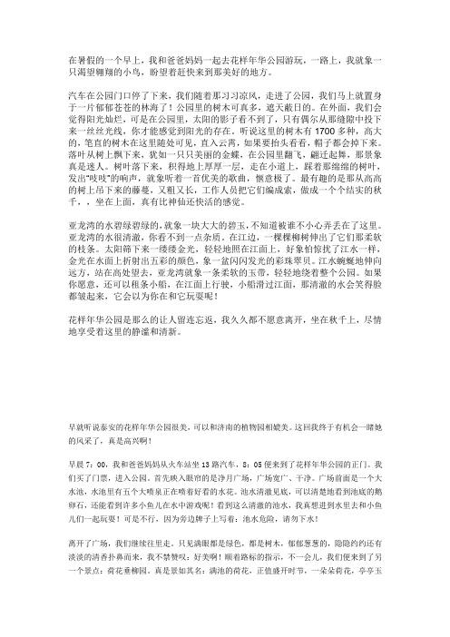 花样年华征文