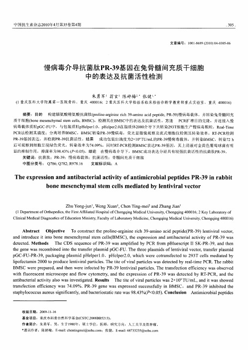 慢病毒介导抗菌肽PR-39基因在兔骨髓间充质干细胞中的表达及抗菌活性检测