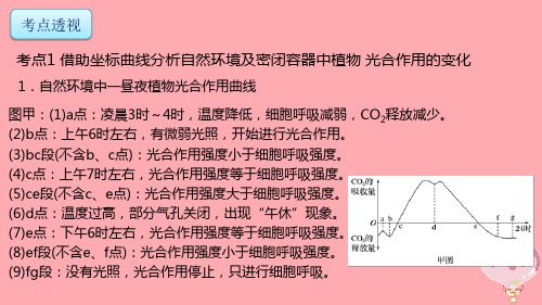 2018年高考生物复习专题2细胞的代谢第2讲光合作用与呼吸作用