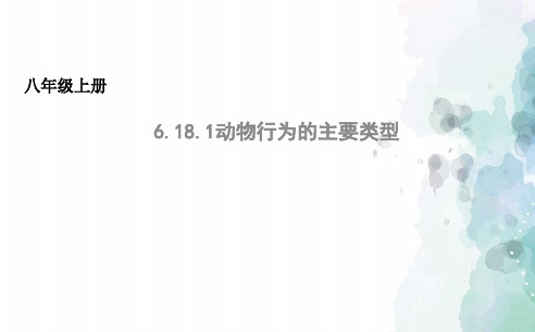 苏教版生物-八年级上册6.18.1动物行为的主要类型 课件