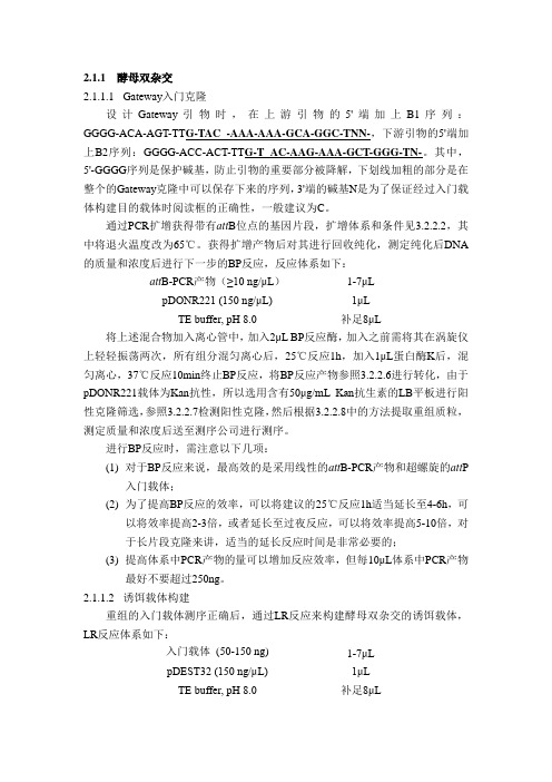 酵母双杂实验步骤